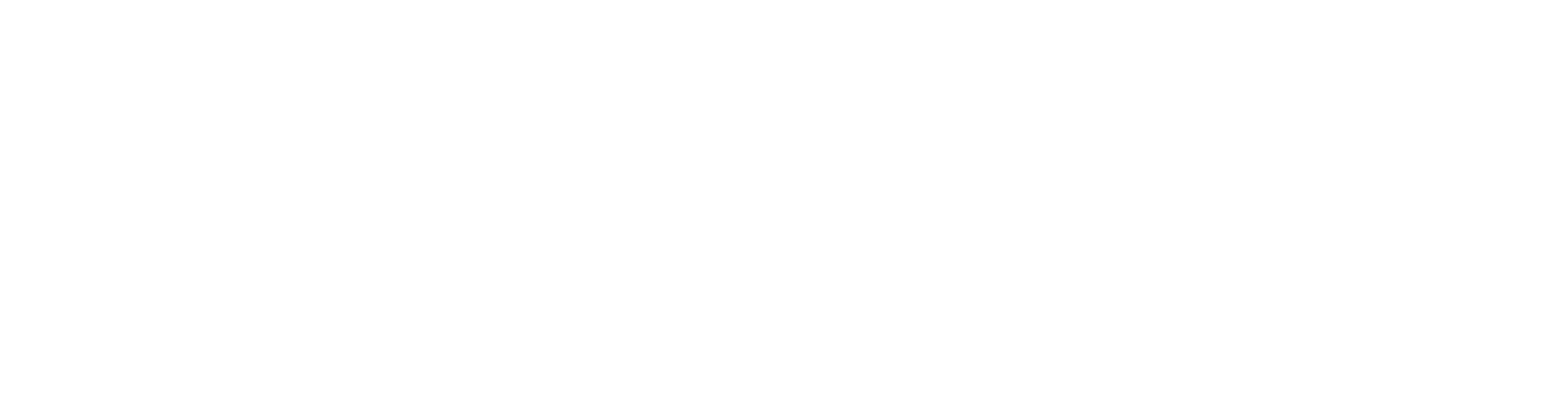 Fiber Alta