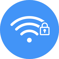 Secure Network Icon